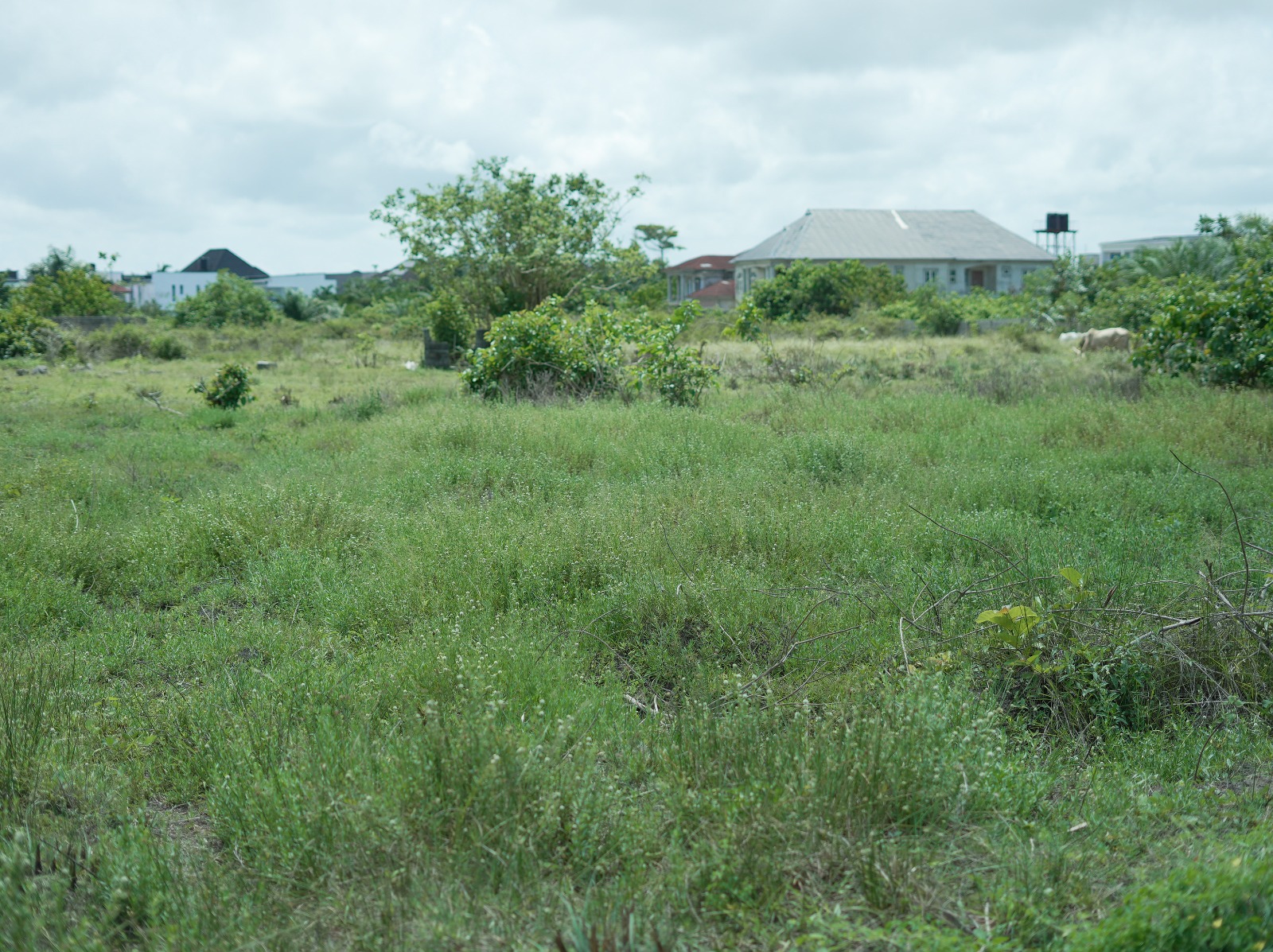 500sqm dry land in Sangotedo, Ajah